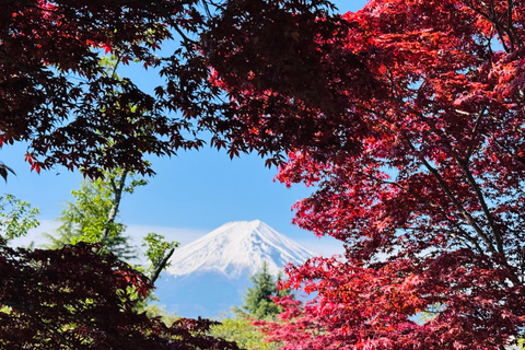 Tokyo: Private Daytrip to Mount Fuji - Fully Customizable Mt Fuji Private Luxury Van Tour (Customizable Experience)