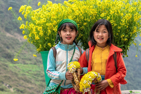 From Hanoi: Visit Sapa 3 Days & See The Terraced Fields Group Tour With A 4-Star Hotel
