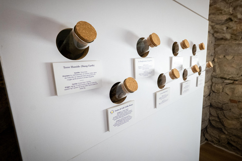 Le Petit Musée du Vin: Tour and tasting in Lyon