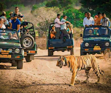 Sawai Madhopur: Ranthambore National Park Guided Jeep Safari