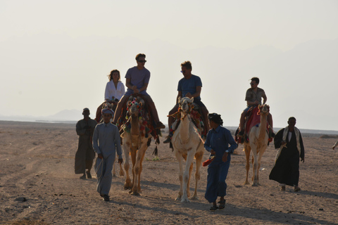 camel ride with sunset and star watching