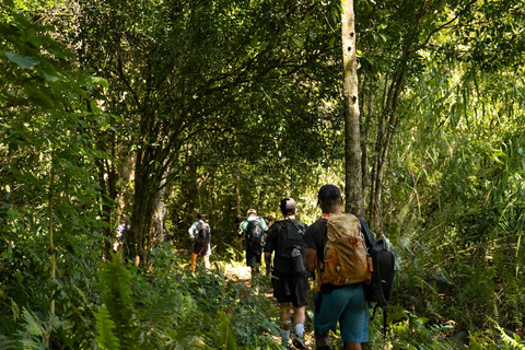 Fiji: 3 Day/2 Night Hiking Tour with Remote Village Stays