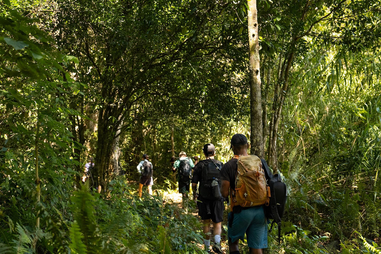 Fiji: 3 Day/2 Night Hiking Tour with Remote Village Stays