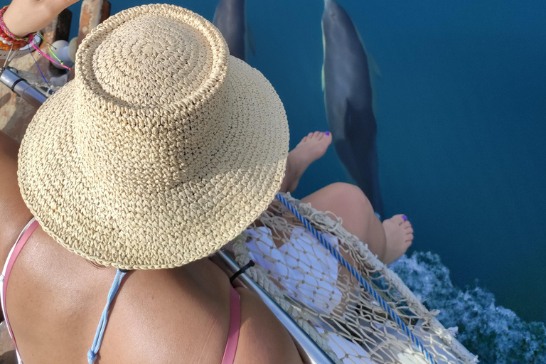 Estepona : Excursion en bateau à la recherche de dauphins avec boissons et collations