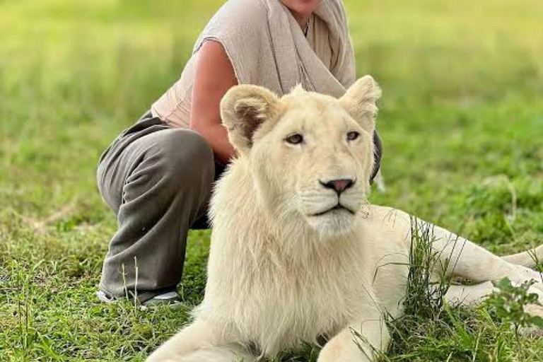 Arusha: Viagem de 1 dia com animais selvagens Serval com safari e almoço