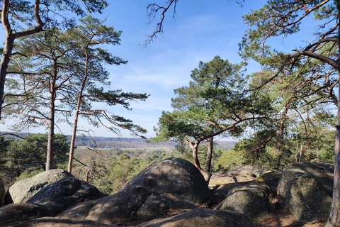 Hiking Adventure in the Fontainebleau Forest