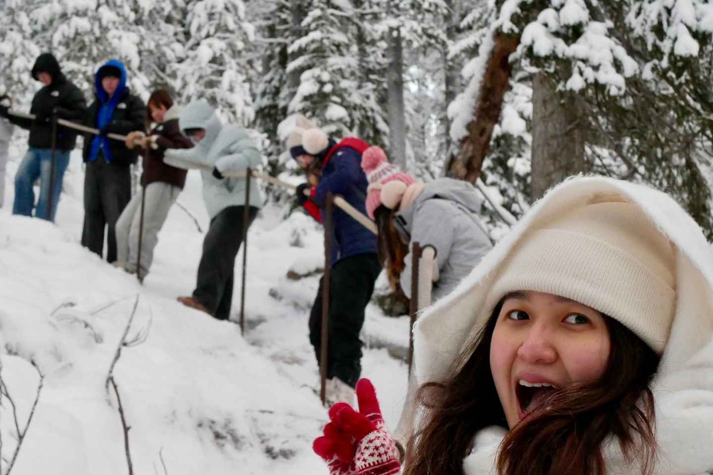 「凍った滝を巡るコロウオマハイキングツアー」