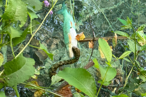 From Zadar: Plitvice Lakes Guided Tour with Boat & Train