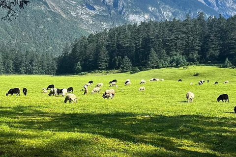 Lijiang: Yulong Snow Mountain, Blue Moon Valley & Show Yakniuping Cableway + "Impression Lijiang" live performance