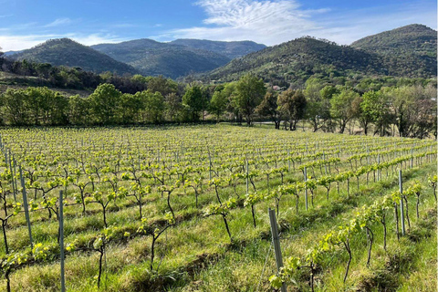 Grimaud: Horseback Riding & Wine Tasting in Maures Forest Horse back riding + wine tasting in the Maures Forest