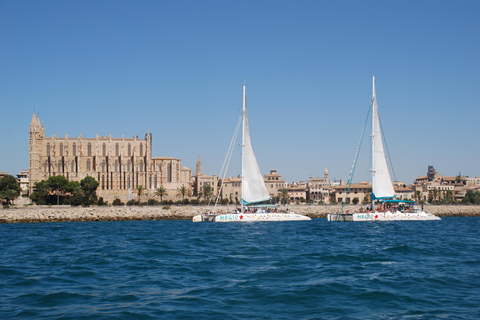 From Palma de Mallorca: 3.5-Hour Catamaran Cruise with Tapas and a Swim