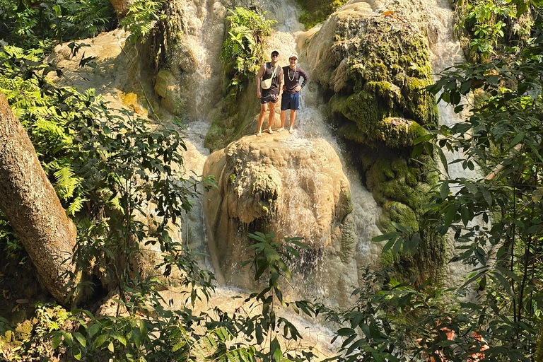 Chiang Mai:Sticky Watefall private tour with lunch