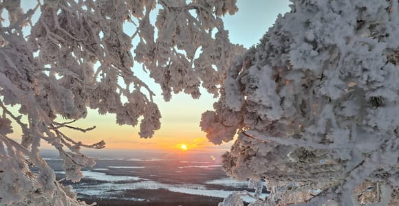 Levi: Fell Whisperer&#39;s Forest Skiing Tour with Campfire