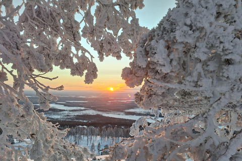 Levi: Fell Whisperer's Forest Skiing Tour with Campfire