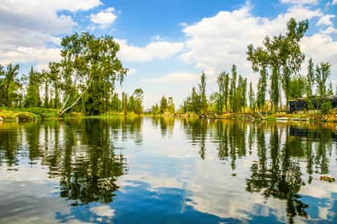 Mexico City: Xochimilco, Casa Azul, Coyoacán & UNAM Tour