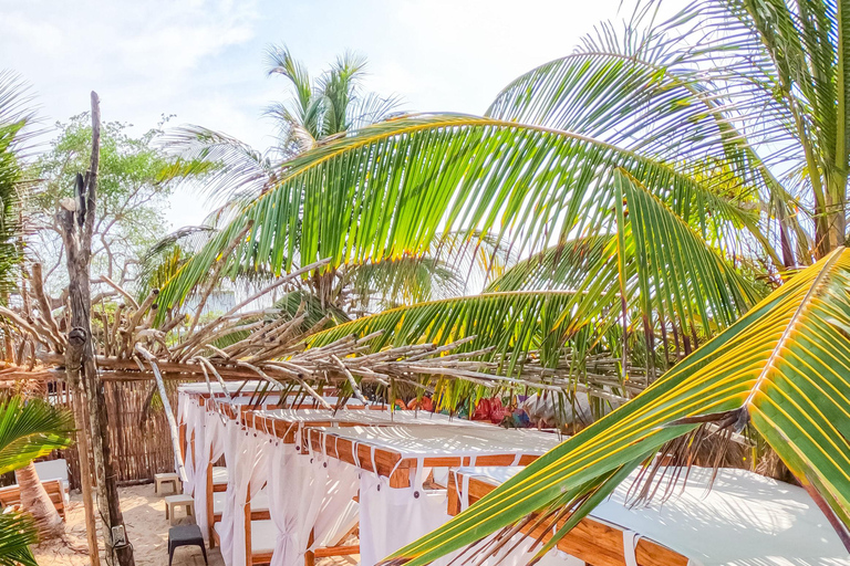 Cartagena: Mambo Beach, Playa Blanca Barú, Full Day with Lunch and Refreshing Cocktail Cartagena: Mambo Beach, Barú, Full Day with Lunch and Refreshing Cocktail