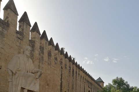 Córdoba: Tour of the Jewish Quarter of Córdoba in English Córdoba: Tour of Córdoba's Jewish Quarter in English