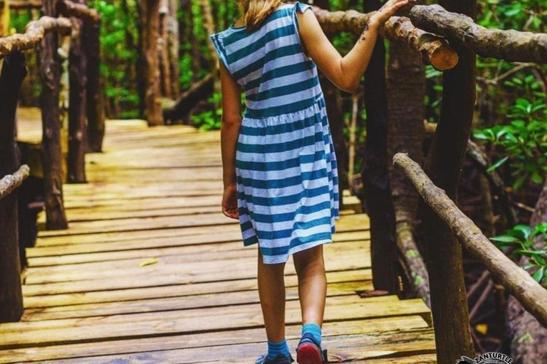 Zanzibar: Blå lagunen, sjöstjärnor och Jozani-skogenTransfer till hotell var som helst på Zanzibar