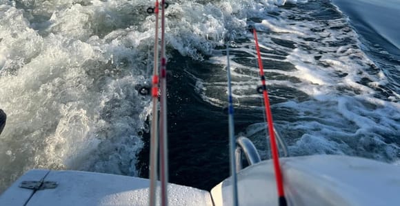 Djerba – Sea fishing & coastal exploration with local food tasting