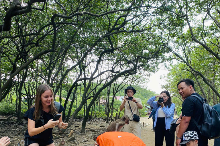 Desde Ciudad Ho Chi Minh: Paseo por los Manglares y la Isla de los Monos de Can Gio