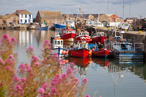 Dublin naar Howth: begeleide wandeltocht van een halve dag met de auto of veerboot