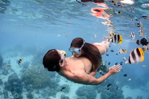 Bora Bora: Jet Ski, Lunch & Shark/ Ray Safari