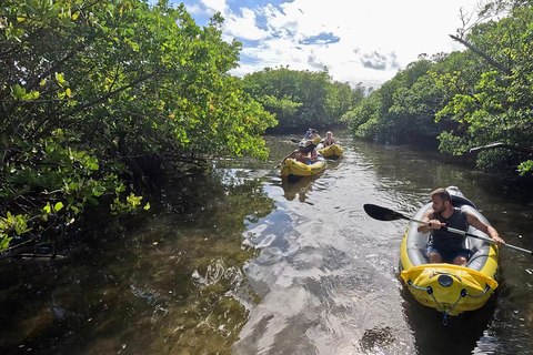 Ft Lauderdale: Combo Deal Snorkel Reefs, Kayak/SUP Mangroves