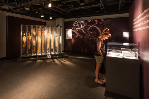 Las Vegas: BODIES | The Exhibition at the Luxor Las Vegas: Luxor Hotel Bodies The Exhibition Entry Ticket