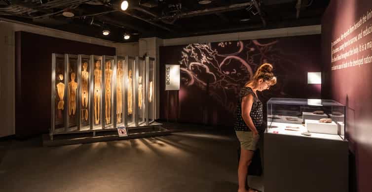 Las Vegas: BODIES | The Exhibition at the Luxor photo 3