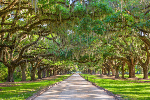 Charleston: Boone Hall Plantation Tour
