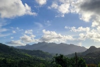 From San Juan, Rainforest & Luquillo day trip - Housity