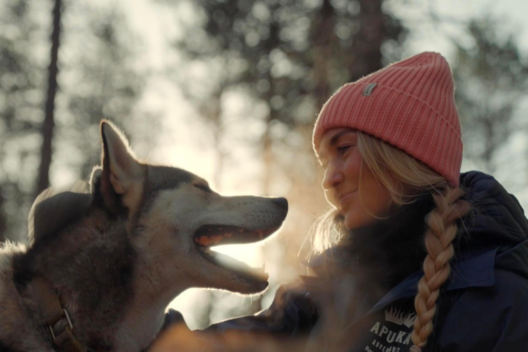 Rovaniemi: Husky Farm Visit