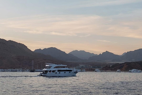 Sharm: Ras Mohamed & White Island Snorkeling, Diving & Lunch Option: Snorkeling with 1 Dive