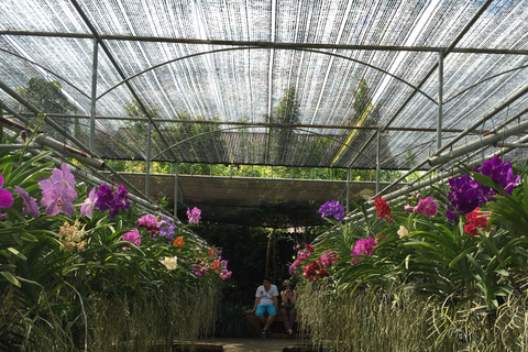 Doi Suthep Temple, Orchid Farm &amp; Sticky Waterfall with Lunch