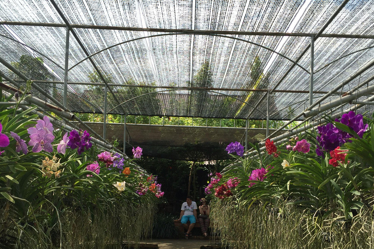 Doi Suthep Tempel, Orchideeën Hoeve &amp; Kleverige Waterval met Lunch