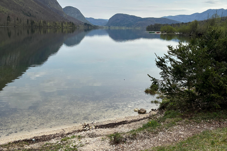 Une excursion d&#039;une journée au départ de Ljubljana : La nature magique et le lac BohinjVisite privée en espagnol