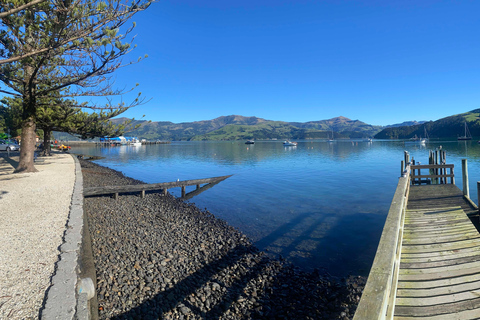 From Christchurch: Luxury Private Akaroa Day Trip Experience
