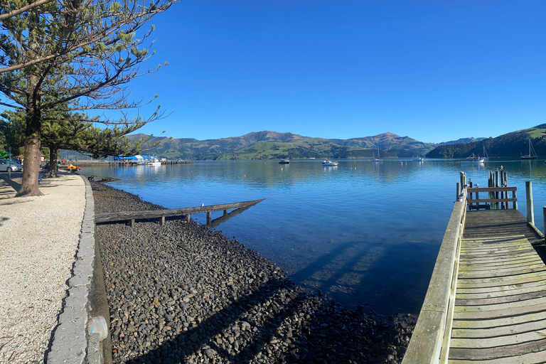 From Christchurch: Luxury Private Akaroa Day Trip Experience