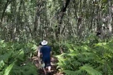 Zanzibar: Half-Day Village Spice Farm Tour with Local Guide