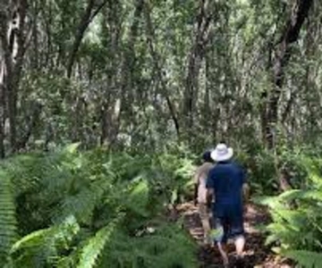 Zanzibar: tour di mezza giornata del villaggio delle spezie con guida locale
