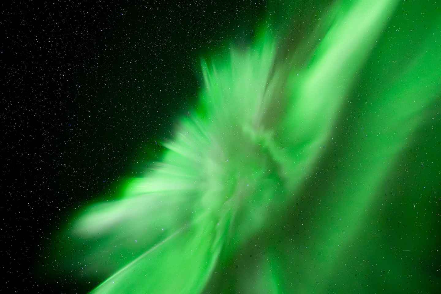 Tromsø: Northern Lights Tour with Local Guide and Photos