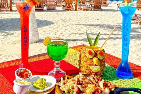 Cozumel : Carte d'accès à la journée au parc Chankanaab avec Open Bar et déjeuner