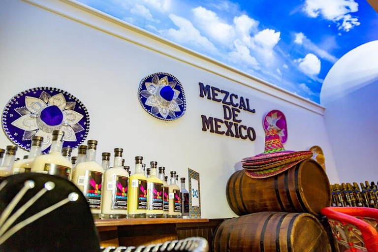 Visita guiada a Cancún: yacimiento arqueológico de El Meco, Cartas y compras