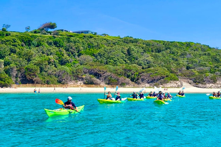 Bonifacio: Kayak tour and swim in the nature reserve up to the cliffs   Bonifacio: Kayak tour and swim in the reserve up to the cliffs  