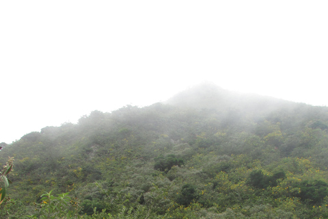 Pululahua Volcano Sightseeing Tour