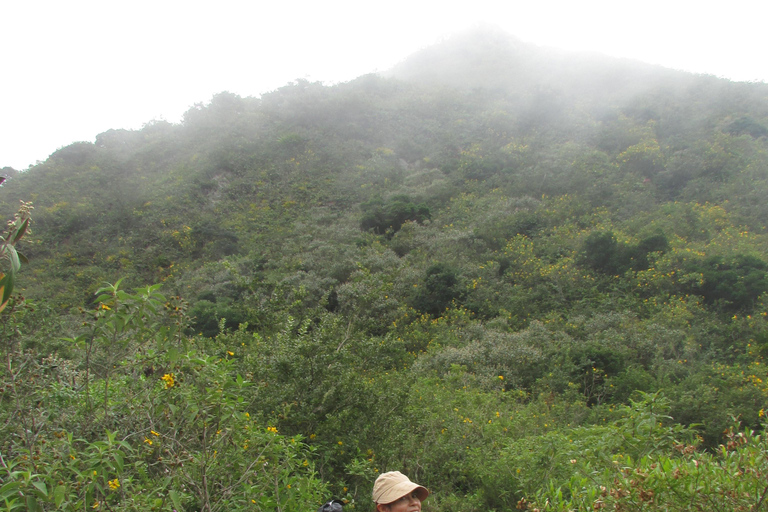 Pululahua Volcano Sightseeing Tour