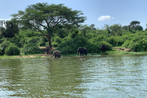 Rwanda: Luxury Gorilla Safari