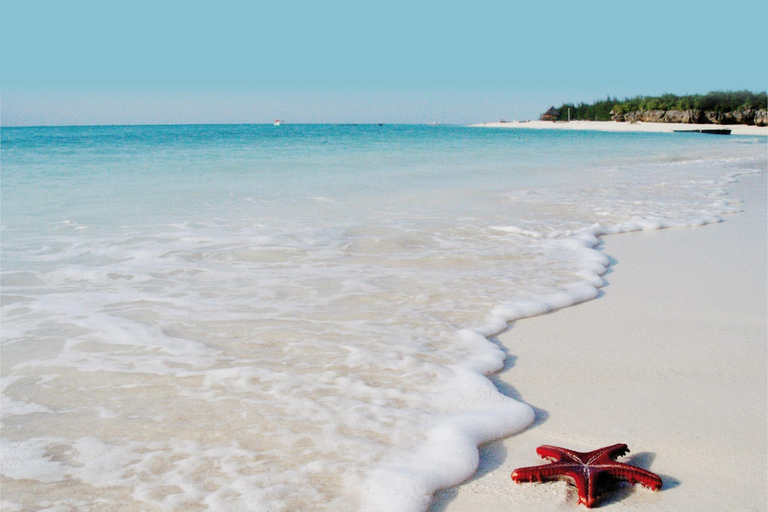 Klare Kajakerfahrung, Kendwa Beach, Schildkrötenschnorcheltour