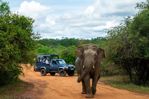 Sri Lanka: un grande tour di 15 giorni con una vacanza