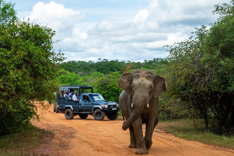 Sri Lanaka : Excursión de 2 días con Hikkaduwa / Galle / Yala